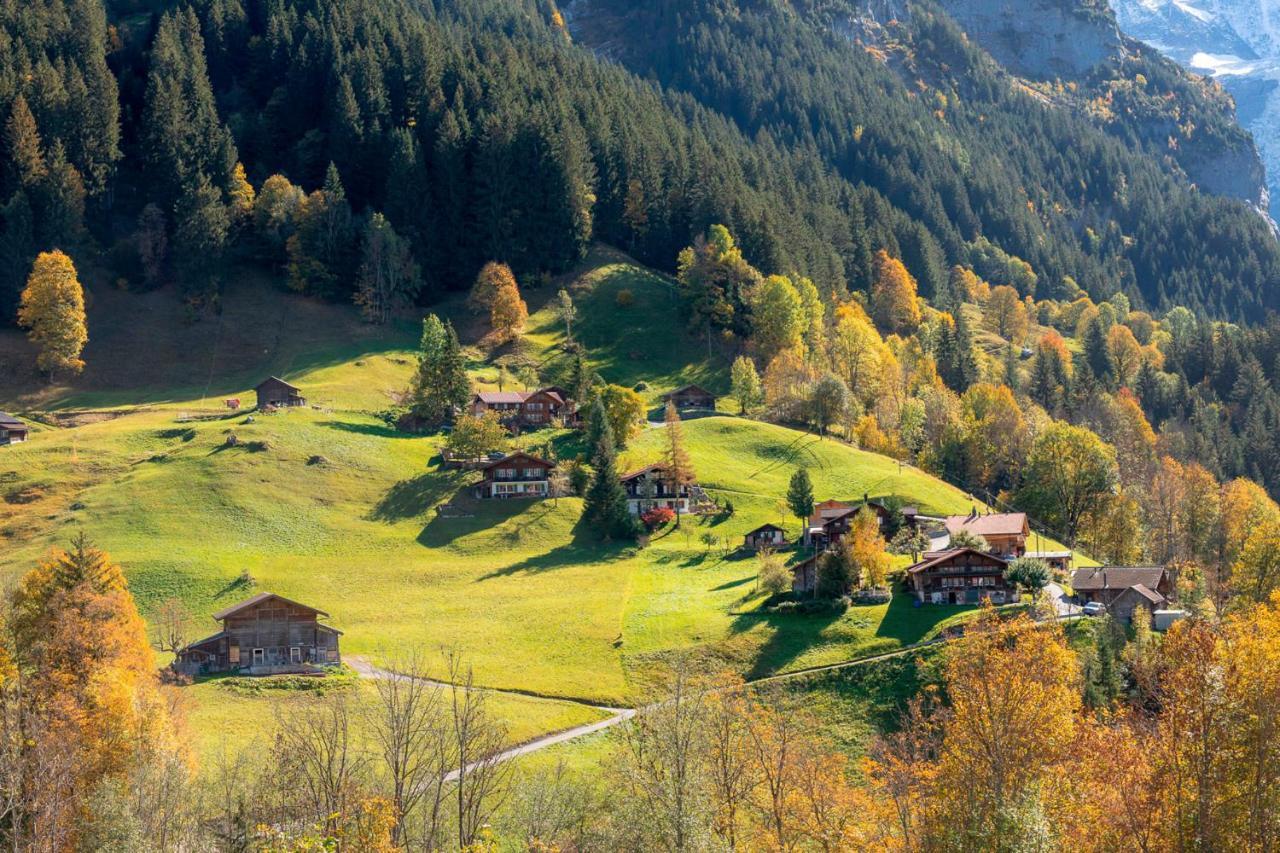 Chalet Waeschhuesli Near Interlaken, Grindelwald And Lauterbrunnen 그체이와일러 외부 사진